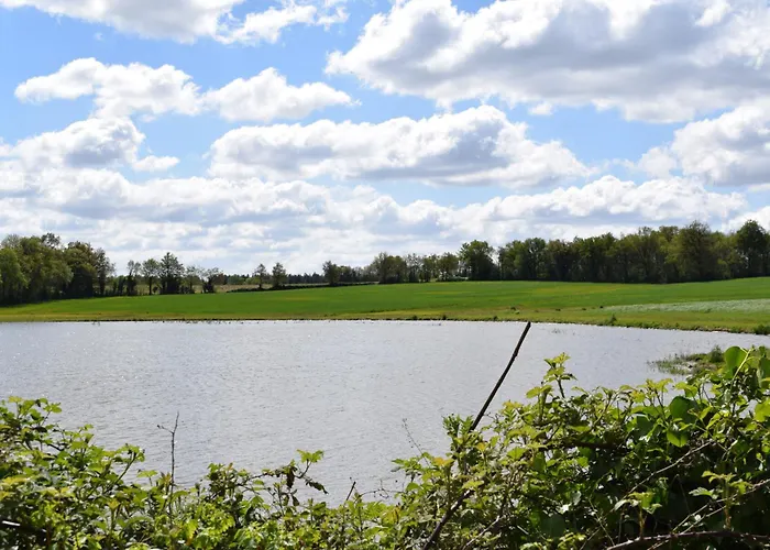 Alojamento de Acomodação e Pequeno-almoço Le Cardoué, D'hôtes Proche Du Puy Dufou Chantonnay